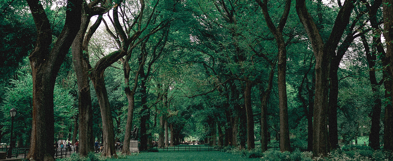 Case Study: "Easy" Email Parser